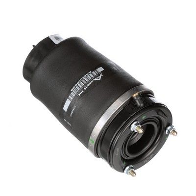 LUFTFEDER FAHRWERK Arnott A2934 67