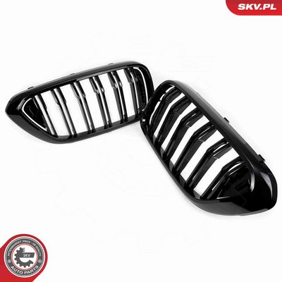 GRILA RADIATOR ESEN SKV 66SKV210 3