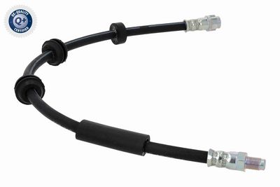 FURTUN FRANA VAICO V304748 5