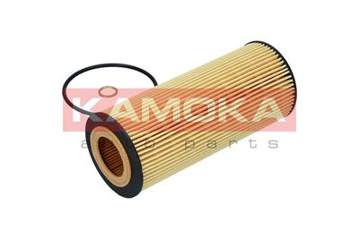 Oil Filter F106101