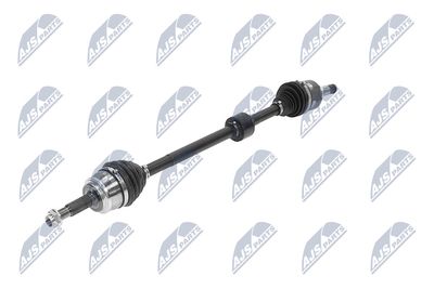 PLANETARA NTY NPWTY250 21