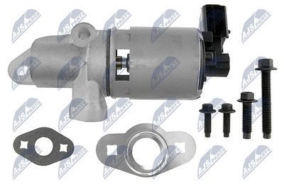 AGR-Ventil NTY EGR-CH-002