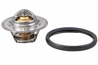 Thermostat, Kühlmittel