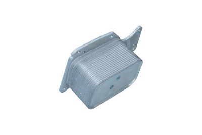 RADIATOR ULEI ULEI MOTOR KAMOKA 7730070