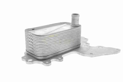 ÖLKüHLER MOTORöL VEMO V40602119 8
