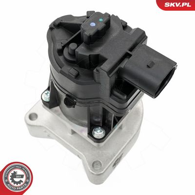 AGR-Ventil ESEN SKV 14SKV254