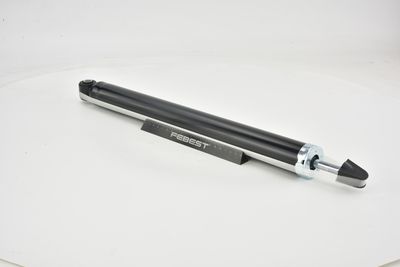 AMORTIZOR FEBEST 21650805R 8