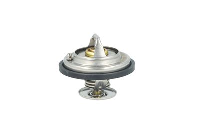 TERMOSTAT LICHID RACIRE NRF 725478 13