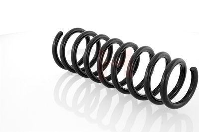 ARC SPIRAL GH GH223510 24