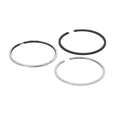комплект сегменти RIDEX 444P0103