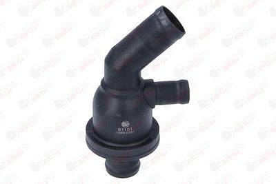 FLANSA LICHID RACIRE BIRTH 81101 1