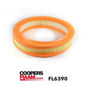 Vzduchový filtr CoopersFiaam FL6390