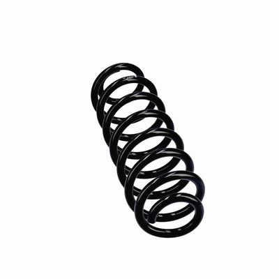 ARC SPIRAL EIBACH R21213 12
