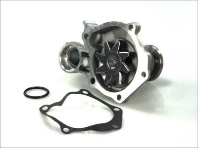 Water Pump, engine cooling D15024TT