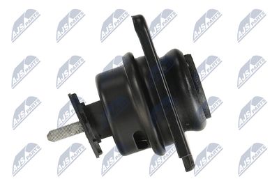 SUPORT MOTOR NTY ZPSKA306 10
