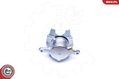 Brake Caliper 42SKV352