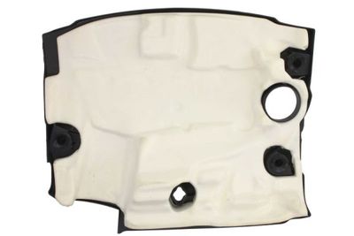 Motor/transmissie onder kap
