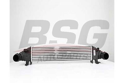 BSG BSG 60-535-009 Інтеркулер 