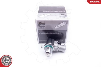 EGR Valve 14SKV164