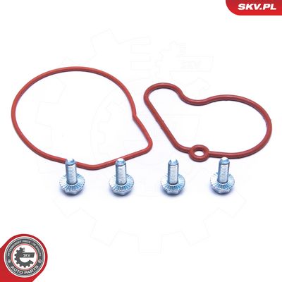 Remonto komplektas, vakuumo siurblys (stabdymo įrenginys)