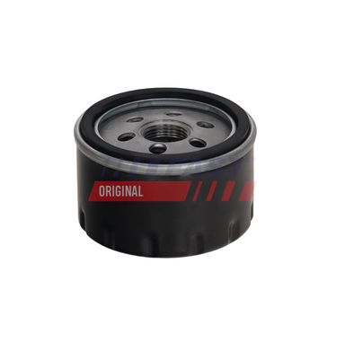 FILTRU ULEI FAST FT38079 13