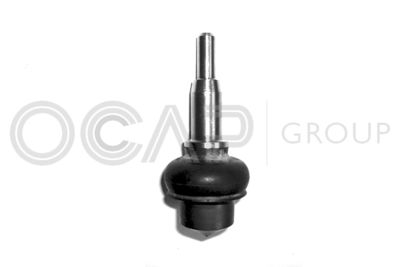 Шарнир независимой подвески / поворотного рычага OCAP 0404169 для AUSTIN METRO