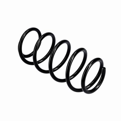 ARC SPIRAL EIBACH R10341 22