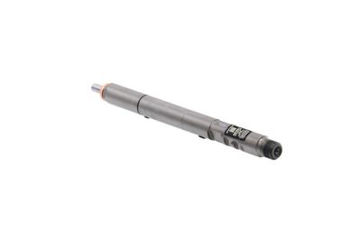 INJECTOR REMANTE 002003000125R 19