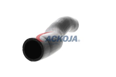 FURTUN EAR SUPRAALIMENTARE ACKOJA A529600 50