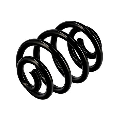 ARC SPIRAL EIBACH R10087 16