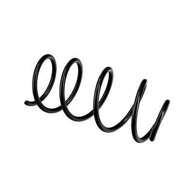 ARC SPIRAL EIBACH R10246 21