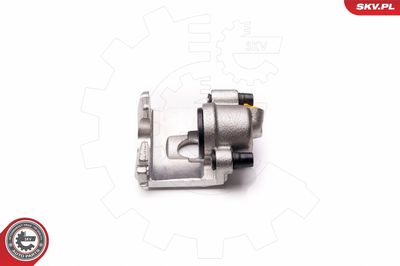 Brake Caliper 23SKV831