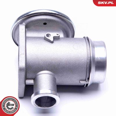 SUPAPA EGR ESEN SKV 14SKV176 1