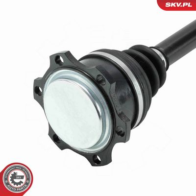 PLANETARA ESEN SKV 40SKV431 2