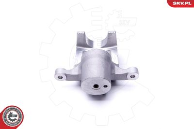 Brake Caliper 46SKV824