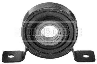 BORG-&-BECK BPB1096 Підвісний підшипник для FIAT (Фиат)