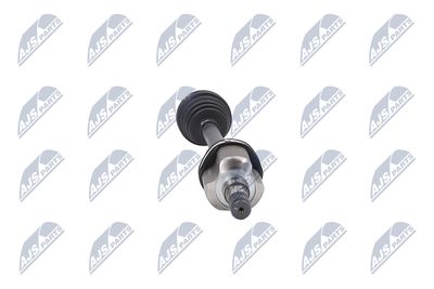 PLANETARA NTY NPWBM164 33