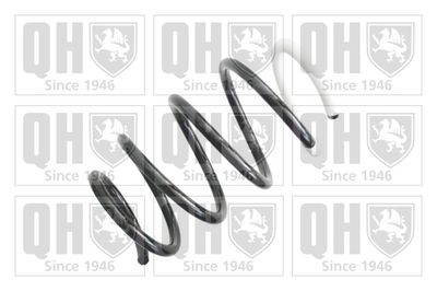 QUINTON HAZELL QCS6955 Пружина подвески  для RENAULT MEGANE (Рено Мегане)