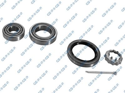 SET RULMENT ROATA GSP GK0528A