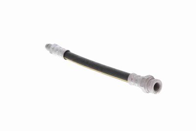 FURTUN FRANA VAICO V220929 3