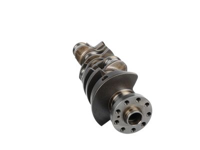 ARBORE COTIT ET ENGINETEAM HK0218 10