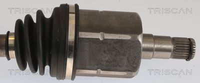 PLANETARA TRISCAN 8540295060 2