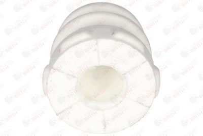 TAMPON CAUCIUC SUSPENSIE BIRTH 52532 10