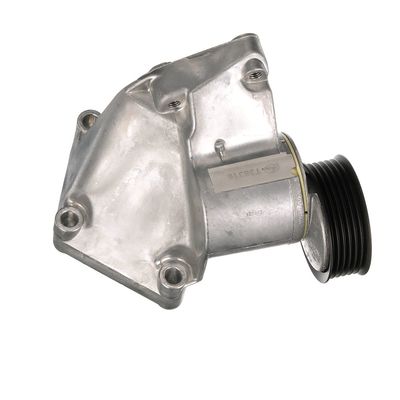 INTINZATOR CUREA CUREA DISTRIBUTIE GATES T38316 72