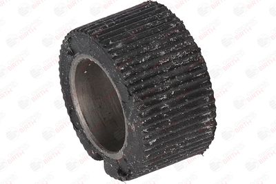 BUCSA ARBORE DE DIRECTIE BIRTH 4848 3