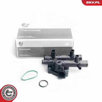 TERMOSTAT LICHID RACIRE