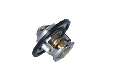 TERMOSTAT LICHID RACIRE NRF 725150 20
