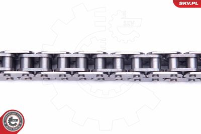 Timing Chain Kit 21SKV168