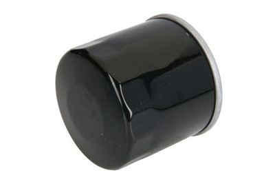 Oil Filter B10002PR