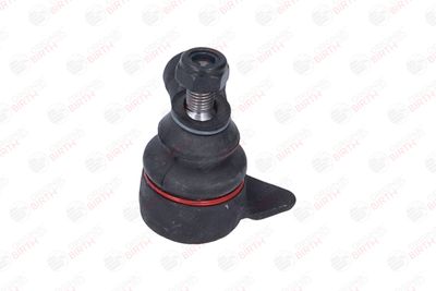 CAP DE BARA BIRTH RS0656 10